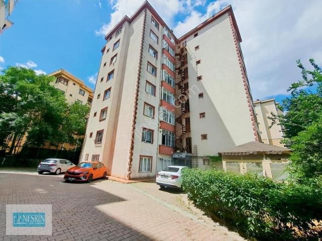 Kartal, İstanbul içerisinde satılık mülk