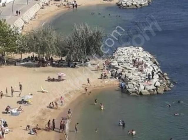 Armutlu, Yalova içerisinde satılık mülk