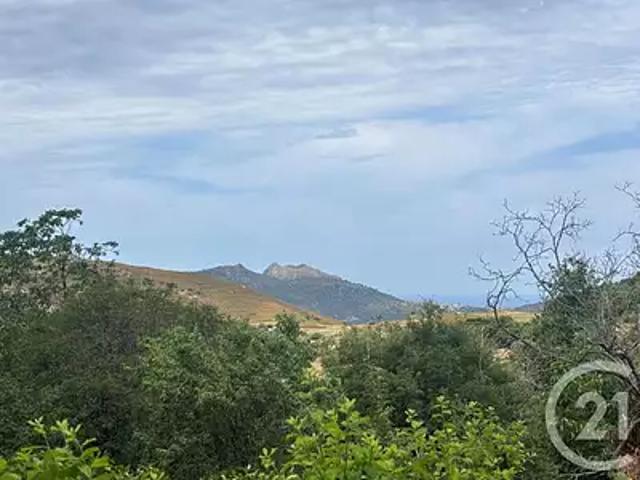 Terrain vente à Calvi, Nessa