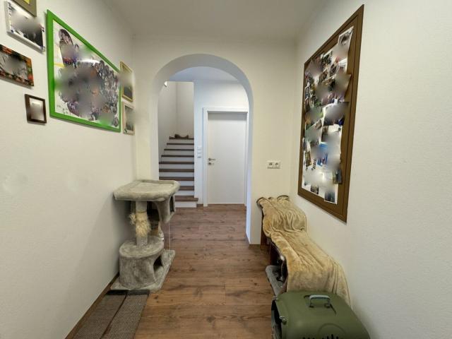 Haus kaufen in Edelsgrub, Steiermark