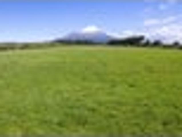 Land for sale in Taranaki