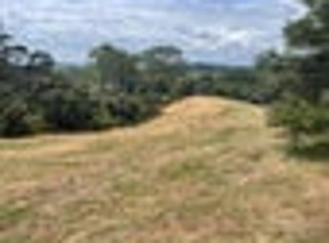 Land for sale in Kawau Island