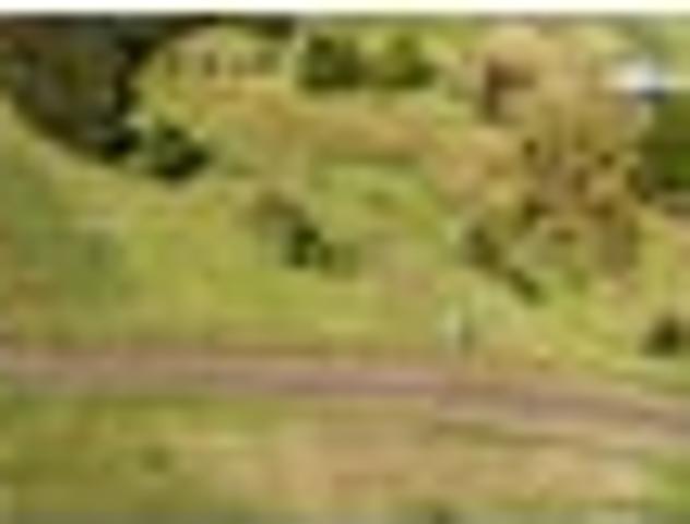 Land for sale in Awhitu