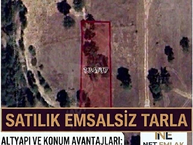 Ayvacık, Çameli içerisinde satılık Arsa