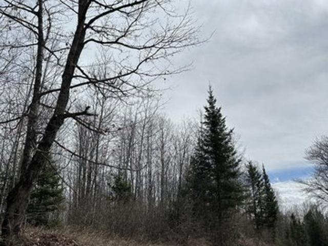 Land for sale in Crystal Falls, Michigan