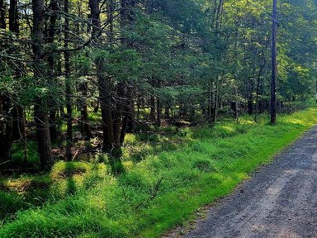 Land for sale in Pocono Lake, Tobyhanna Township