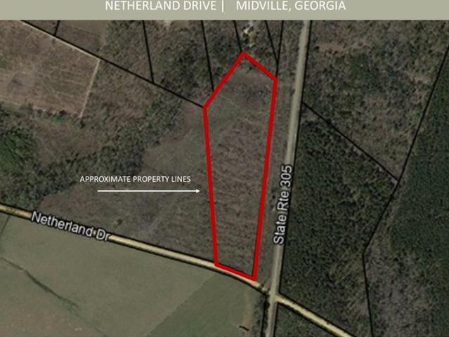 Land for sale in Midville, Georgia