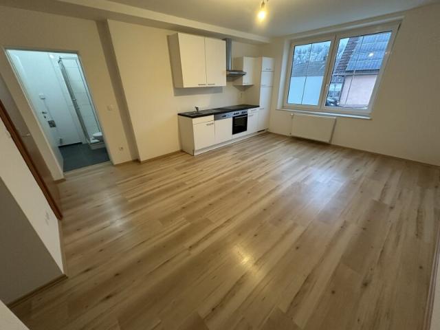 Wohnung mieten in Dietmanns, Niederösterreich