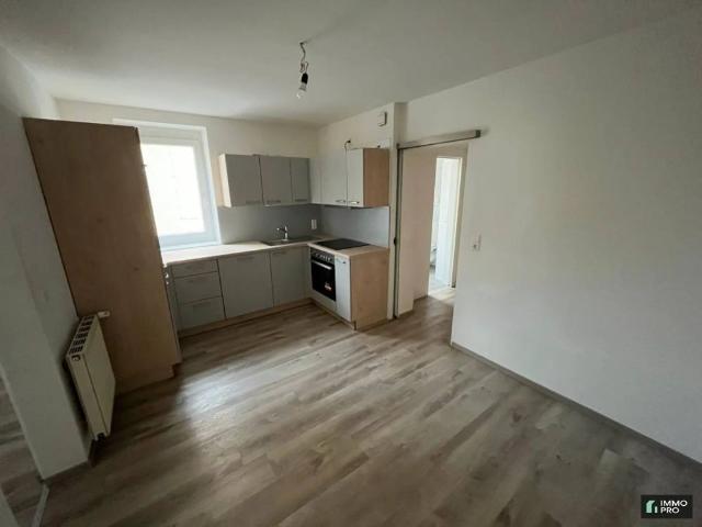 Apartment mieten in Donawitz, Leoben