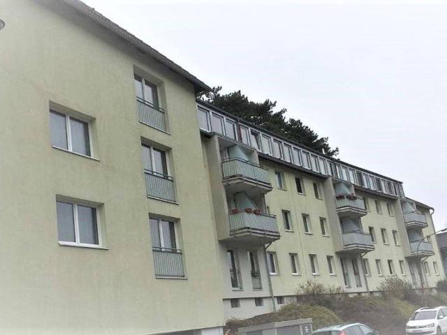 Apartment mieten in Ober-Piesting, Waldegg
