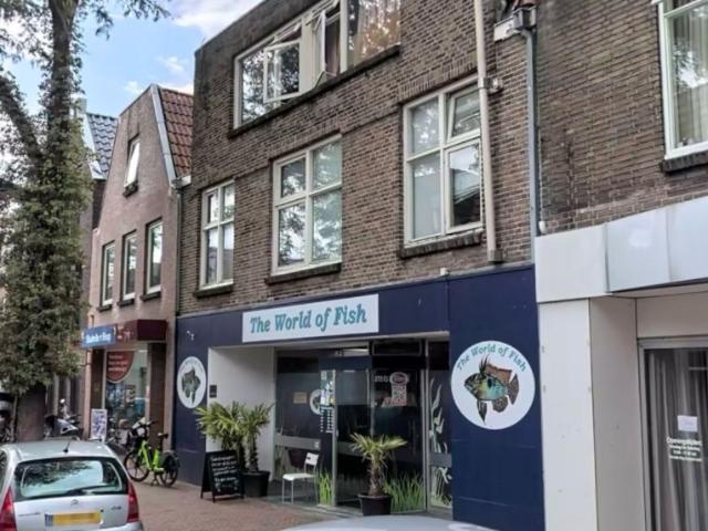 Kamer te huur in Diezerpoort, Zwolle