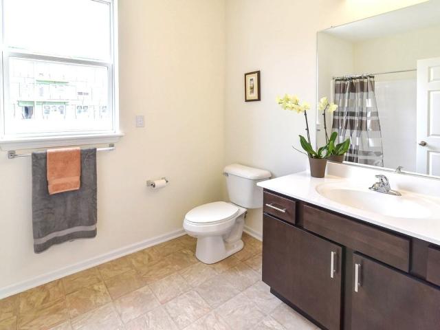 Apartment for rent in Town of Rotterdam, Schenectady County