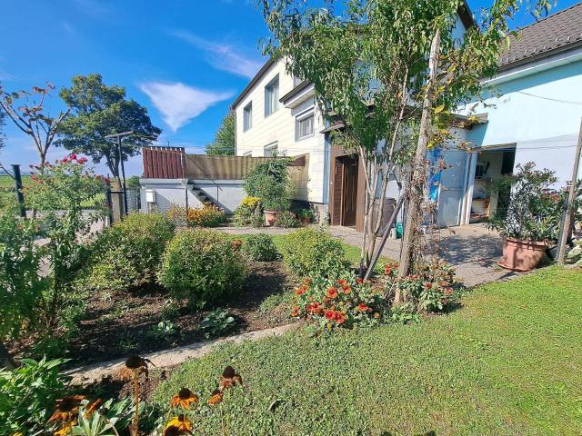 Haus kaufen in Niederösterreich