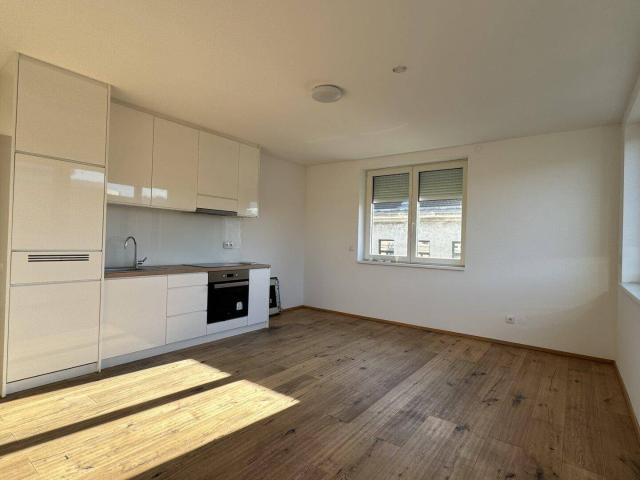 Apartment kaufen in Schottenfeld, Wien