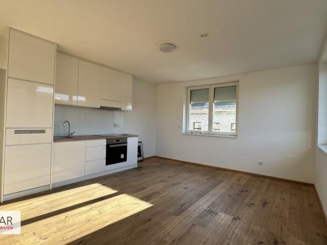 Dachgeschosswohnung kaufen in Wien