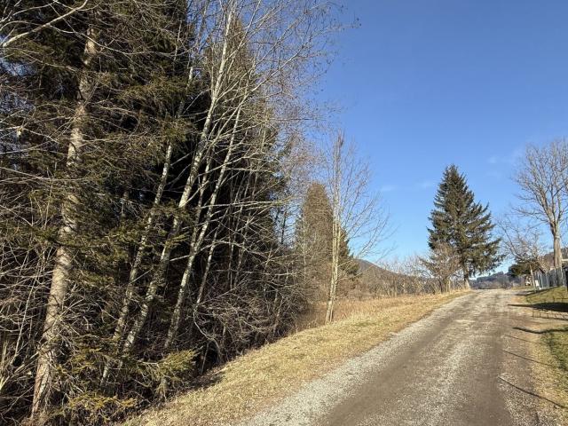 Grundstück kaufen in Steinhaus am Semmering, Steiermark