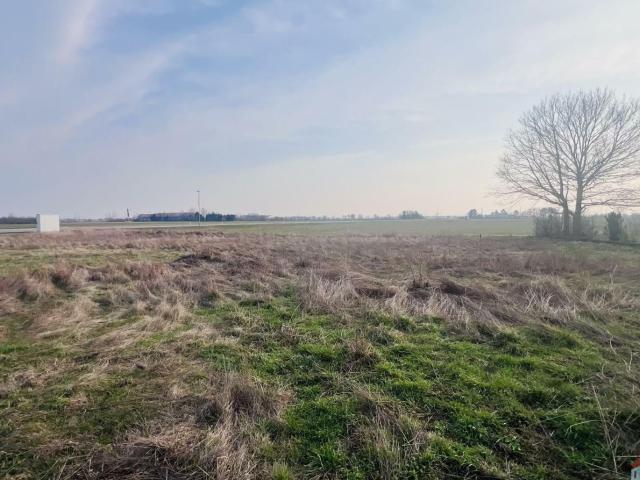 Grundstück kaufen in Seyring, Gerasdorf