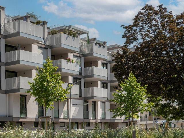 Apartment kaufen in Donaustadt, Wien