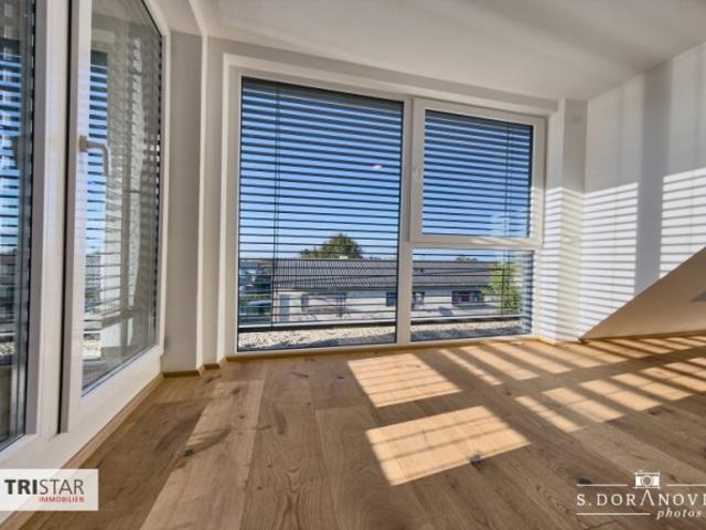 Wohnung mieten in Wien