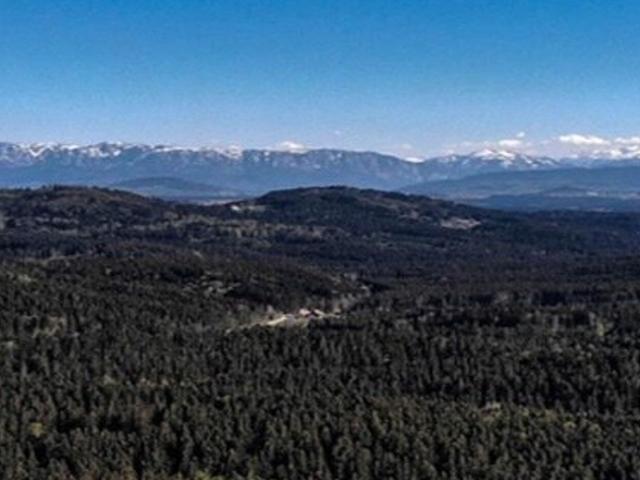 Immobilie kaufen in Lohnsburg am Kobernaußerwald, Oberösterreich