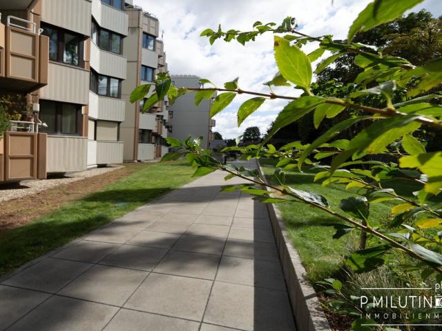 Wohnung kaufen in Seestadt, Wien