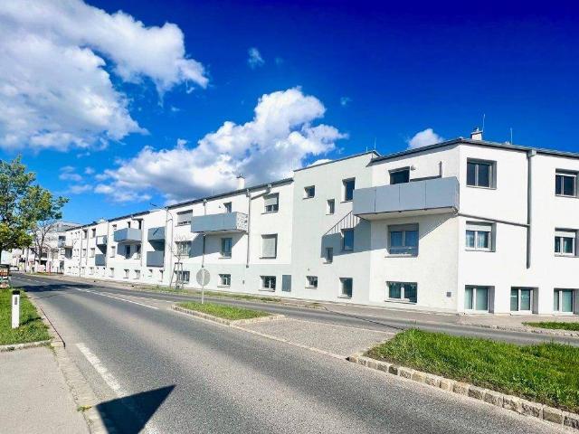 Apartment kaufen in Gerasdorf bei Wien, Gerasdorf