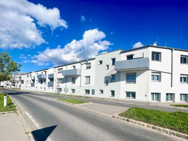 Wohnung kaufen in Korneuburg, Niederösterreich
