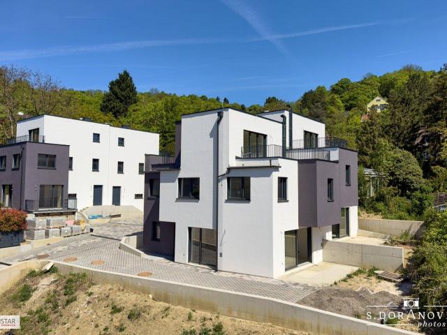 Haus kaufen in Weidling, Klosterneuburg