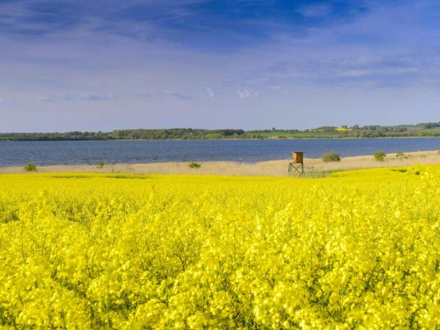 Erdgeschosswohnung kaufen in Dassow, Mecklenburg-Vorpommern