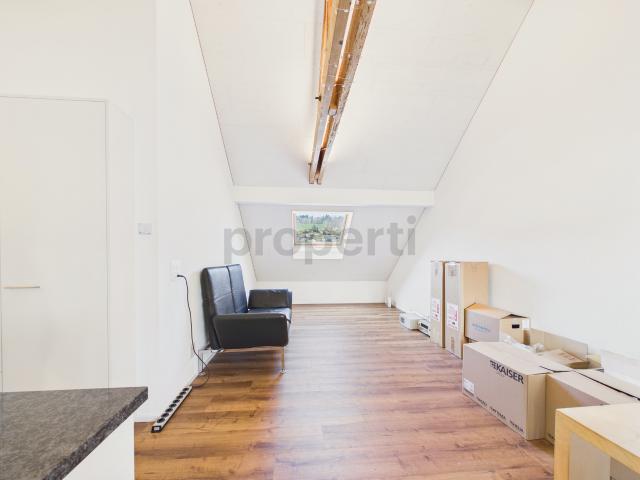 Apartment mieten in Rudolfstetten, Aargau