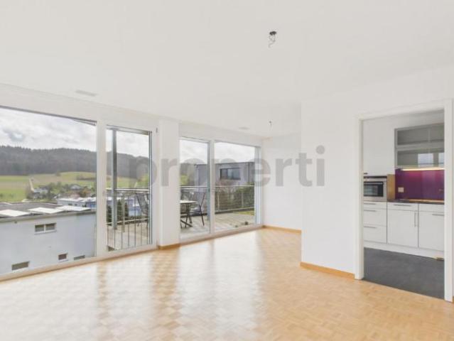 Apartment mieten in Safenwil, Aargau
