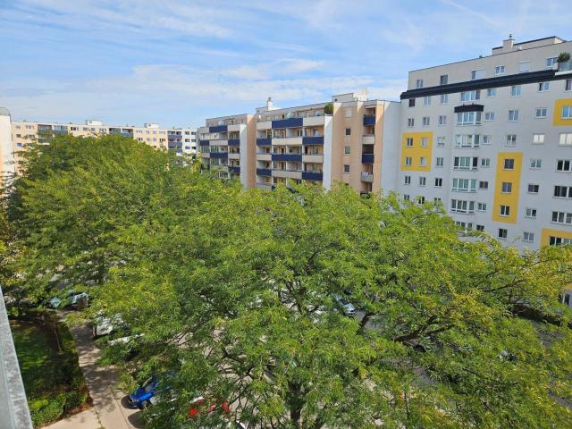Apartment mieten in Donaustadt, Wien