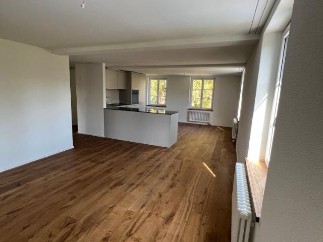 Apartment mieten in Forch, Küsnacht (ZH)