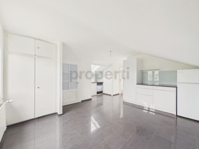 Dachwohnung mieten in Birsfelden, Basel-Landschaft