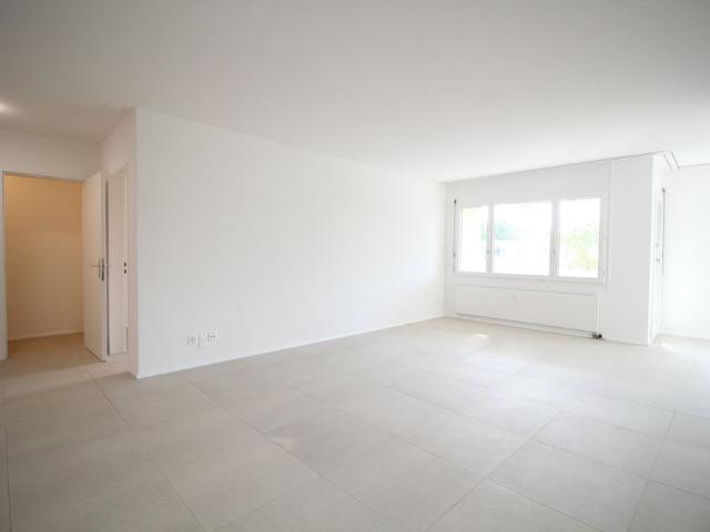 Apartment mieten in Schönenwerd, Amtei Olten-Gösgen