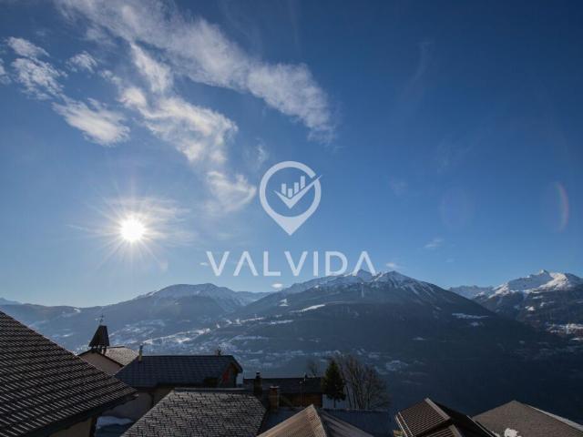 Haus kaufen in Steg (VS), Wallis