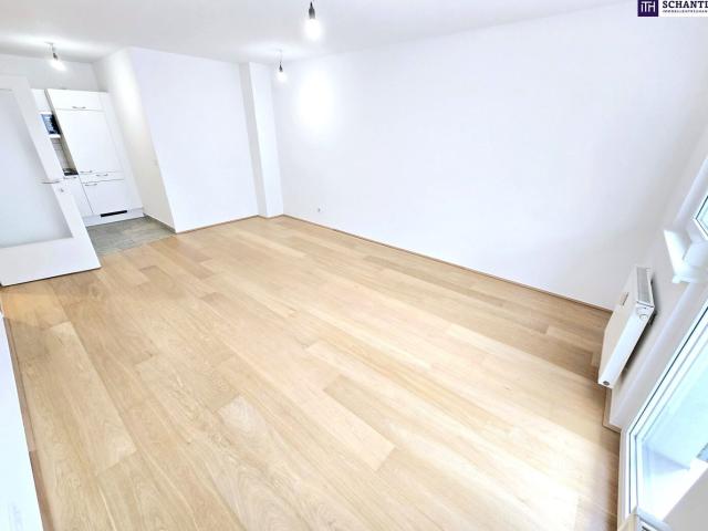 Wohnung kaufen in Seestadt, Wien