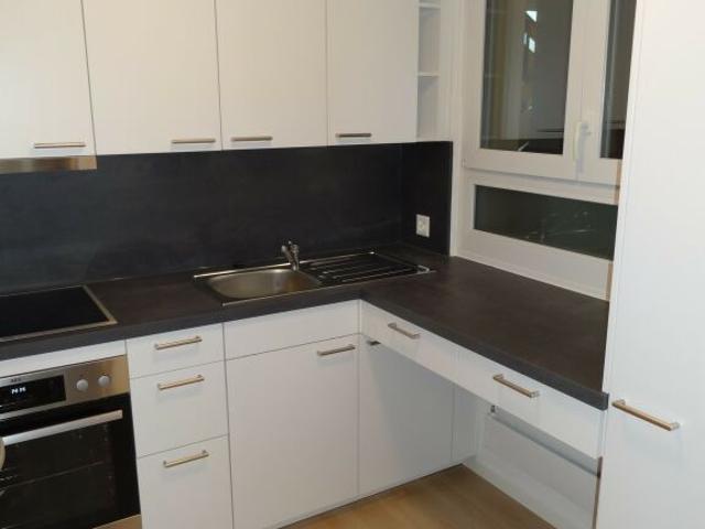 Wohnung mieten in Schaffhausen