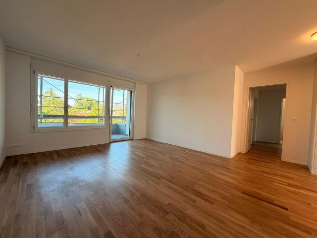Apartment mieten in Rheinfelden, Bezirk Rheinfelden
