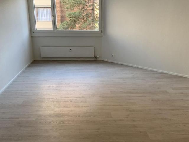 Apartment mieten in Grossbasel, Basel