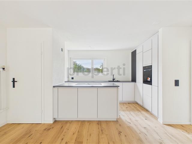 Wohnung kaufen in Hunzenschwil, Aargau