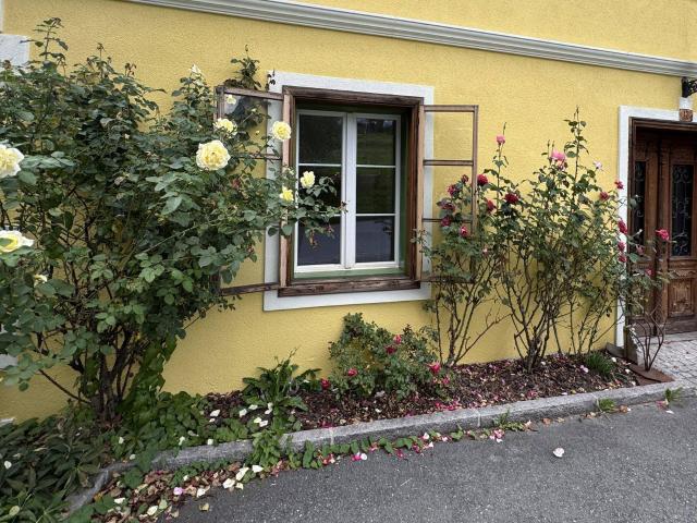 Apartment kaufen in Oberndorf, Kirchbichl