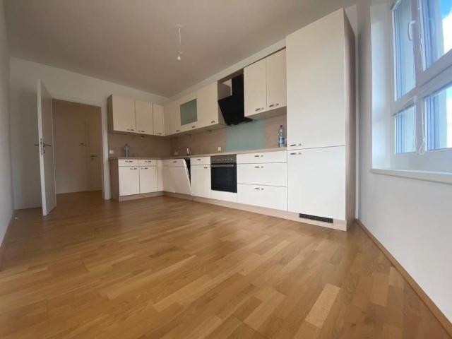 Wohnung mieten in Wiener, Neustadtl an der Donau