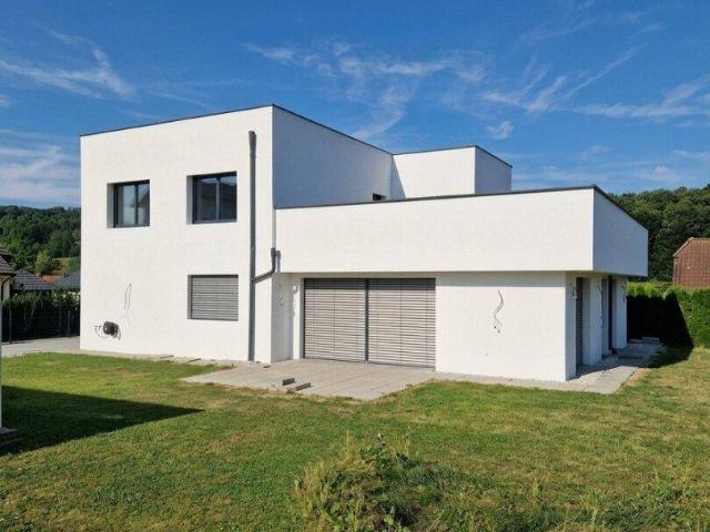 Haus kaufen in Lafnitz, Steiermark