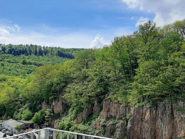Wohnung mieten in Heidelberg, Baden-Württemberg