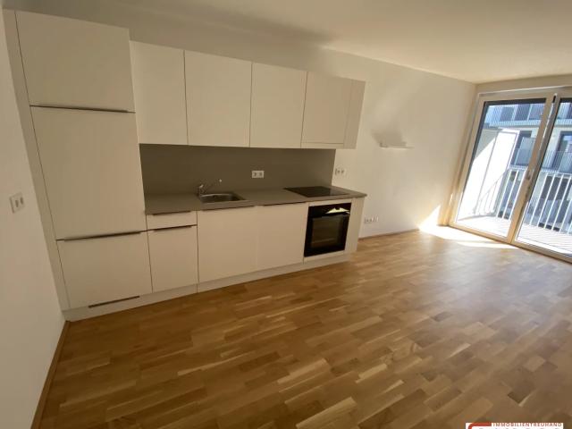 Apartment mieten in KG Oberlaa Stadt, Wien