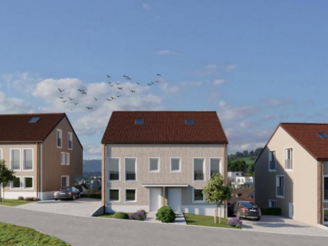 Einfamilienhaus kaufen in Döttingen, Aargau