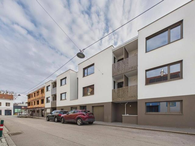 Apartment kaufen in Liesing, Wien