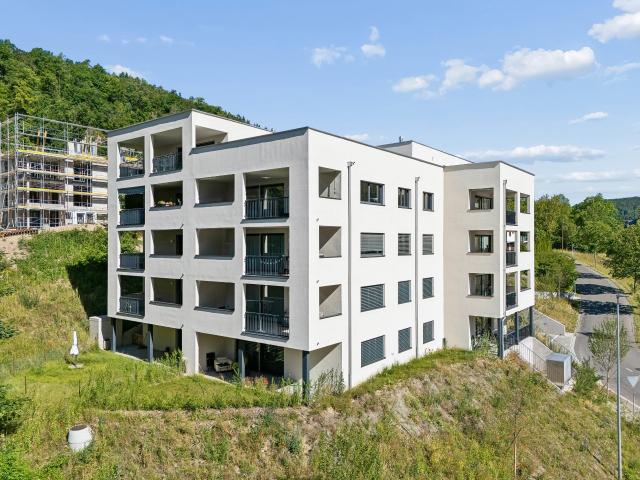 Wohnung mieten in Schaffhausen
