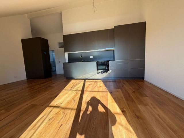 Apartment mieten in Burg AG, Menziken